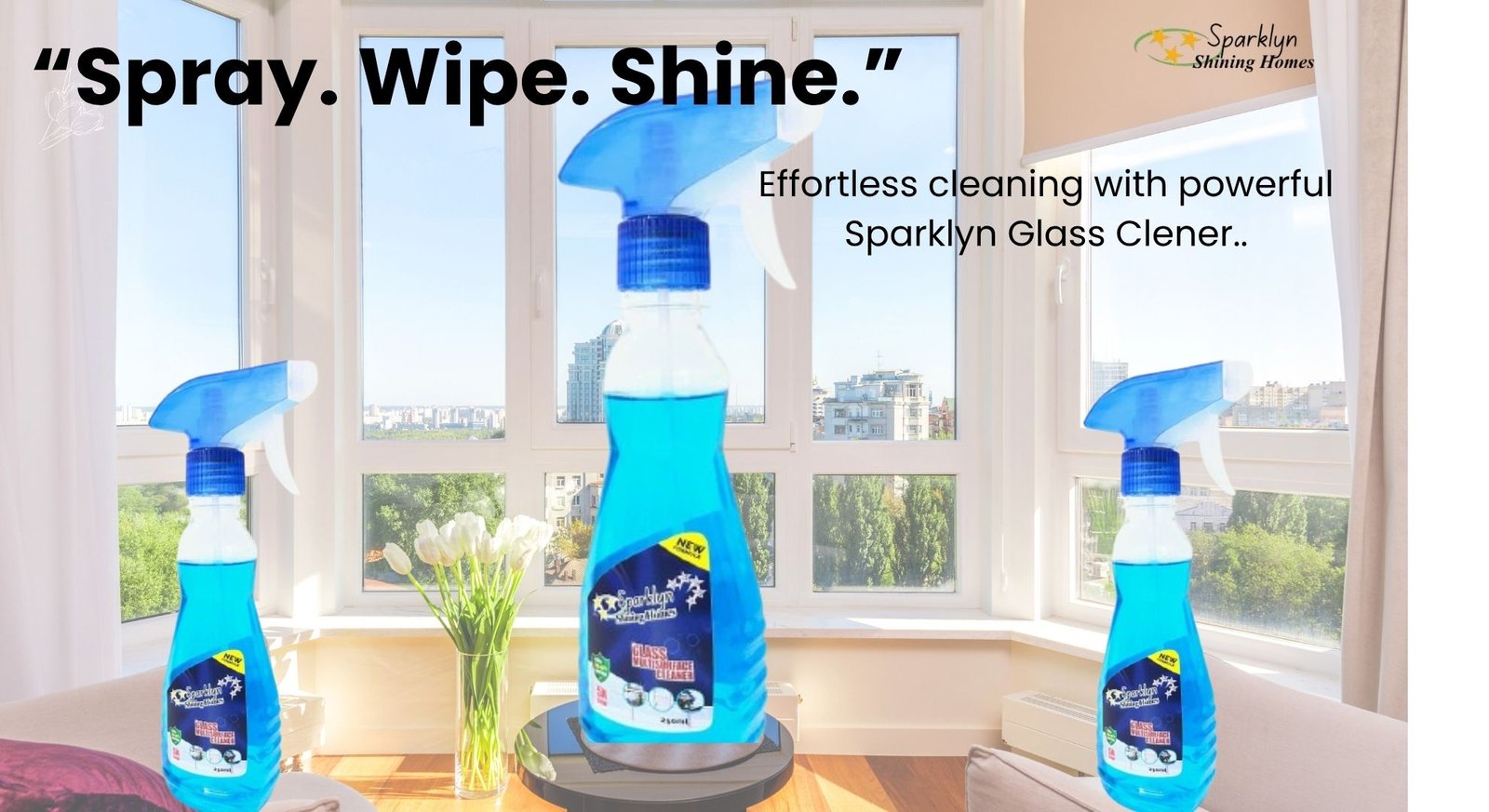 Glass cleaner canava poster